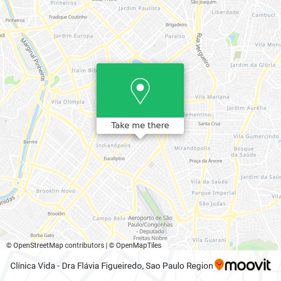 Clínica Vida - Dra Flávia Figueiredo map