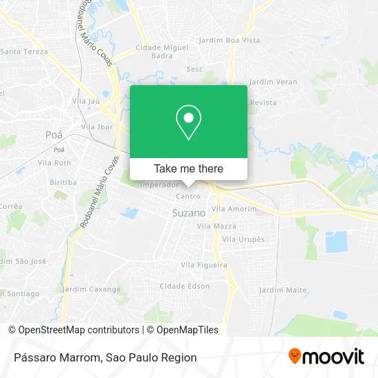 Pássaro Marrom map
