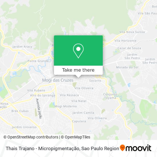 Thais Trajano - Micropigmentação map