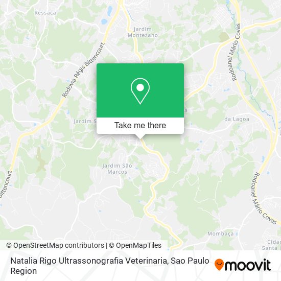 Natalia Rigo Ultrassonografia Veterinaria map