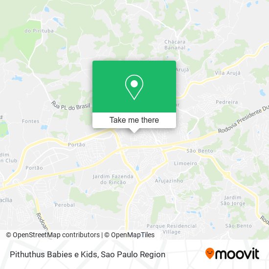 Pithuthus Babies e Kids map