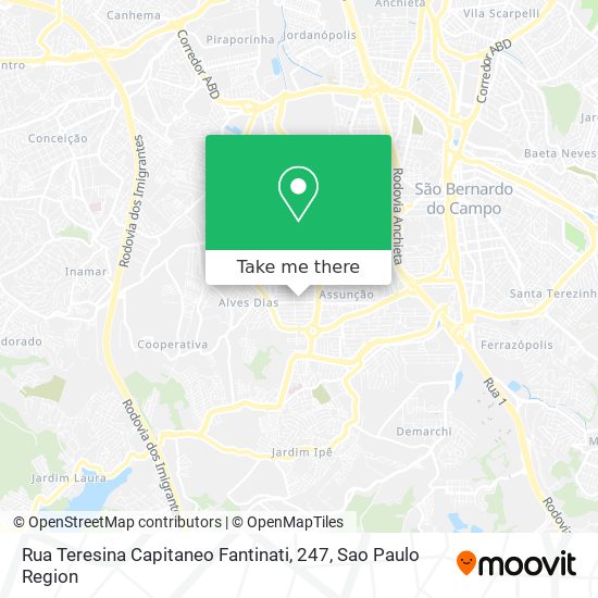 Mapa Rua Teresina Capitaneo Fantinati, 247