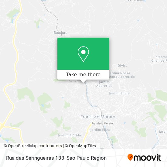 Rua das Seringueiras 133 map