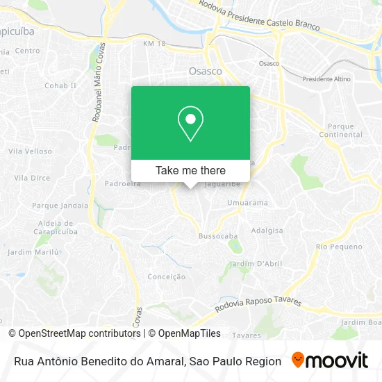 Rua Antônio Benedito do Amaral map