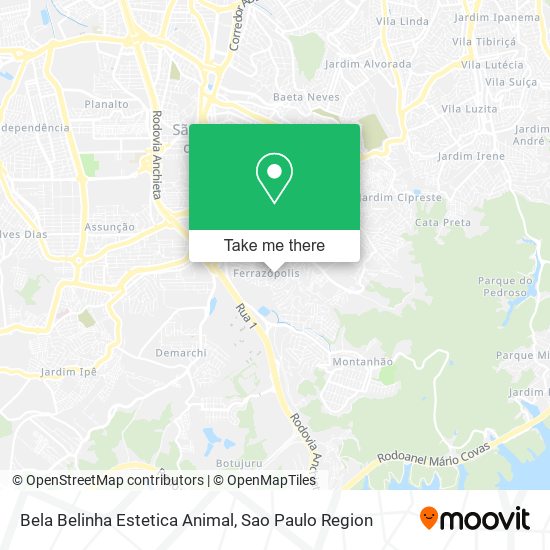 Bela Belinha Estetica Animal map
