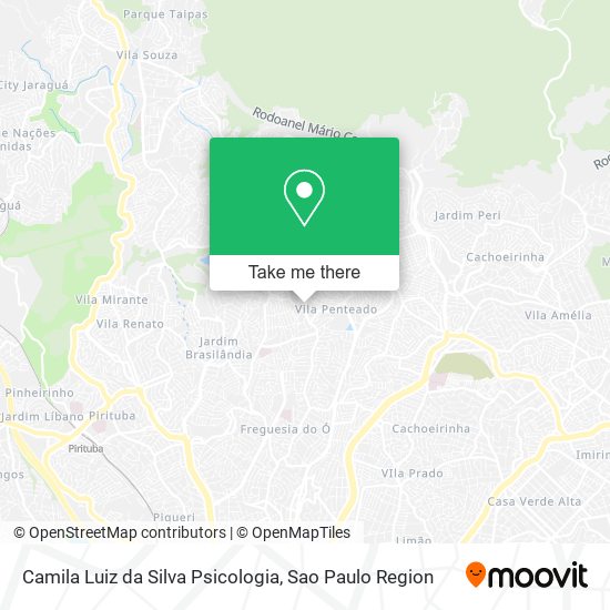 Mapa Camila Luiz da Silva Psicologia