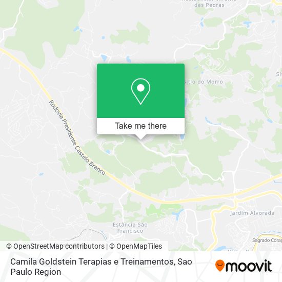 Camila Goldstein Terapias e Treinamentos map