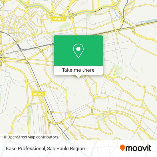Mapa Base Professional