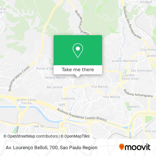 Av. Lourenço Belloli, 700 map