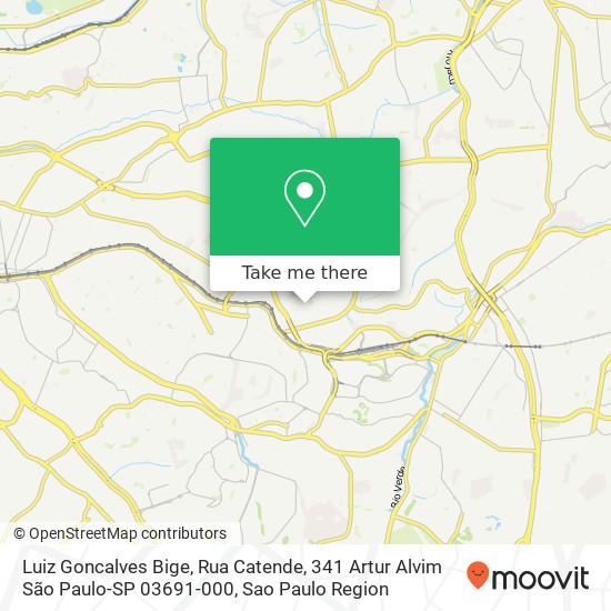 Mapa Luiz Goncalves Bige, Rua Catende, 341 Artur Alvim São Paulo-SP 03691-000