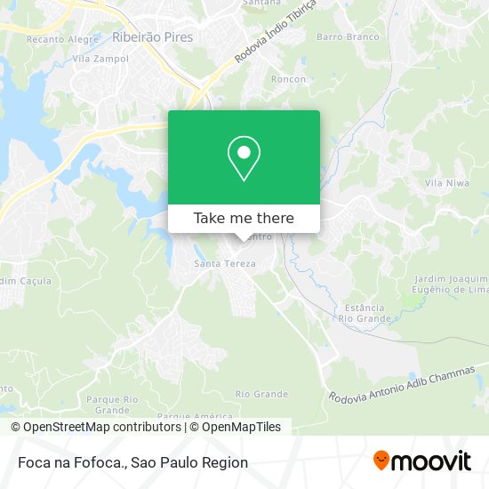 Mapa Foca na Fofoca.