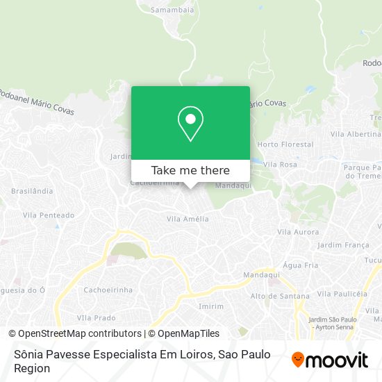Mapa Sônia Pavesse Especialista Em Loiros