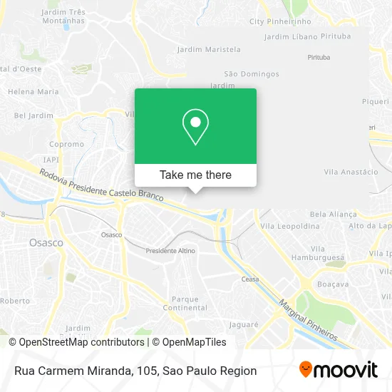 Rua Carmem Miranda, 105 map