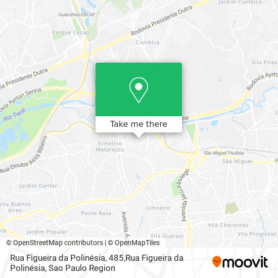 Rua Figueira da Polinésia, 485,Rua Figueira da Polinésia map