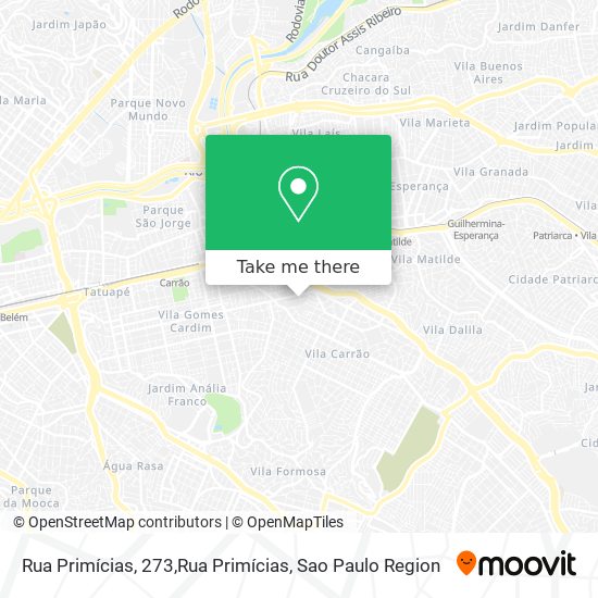 Rua Primícias, 273,Rua Primícias map