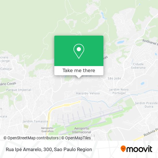 Rua Ipé Amarelo, 300 map