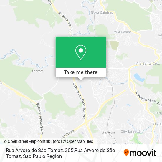 Mapa Rua Árvore de São Tomaz, 305,Rua Árvore de São Tomaz