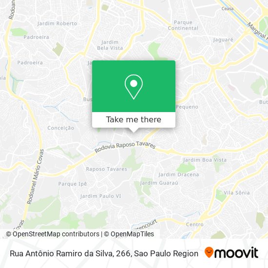 Mapa Rua Antônio Ramiro da Silva, 266