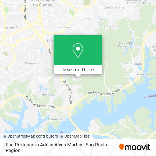 Rua Professora Adélia Alves Martins map