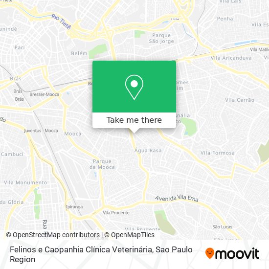 Felinos e Caopanhia Clínica Veterinária map