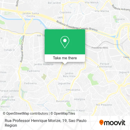 Rua Professor Henrique Morize, 19 map