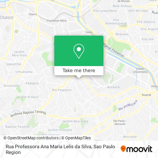 Mapa Rua Professora Ana Maria Lelis da Silva