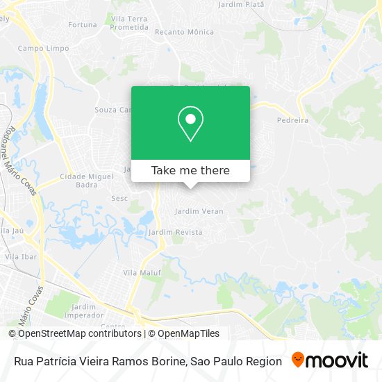 Rua Patrícia Vieira Ramos Borine map