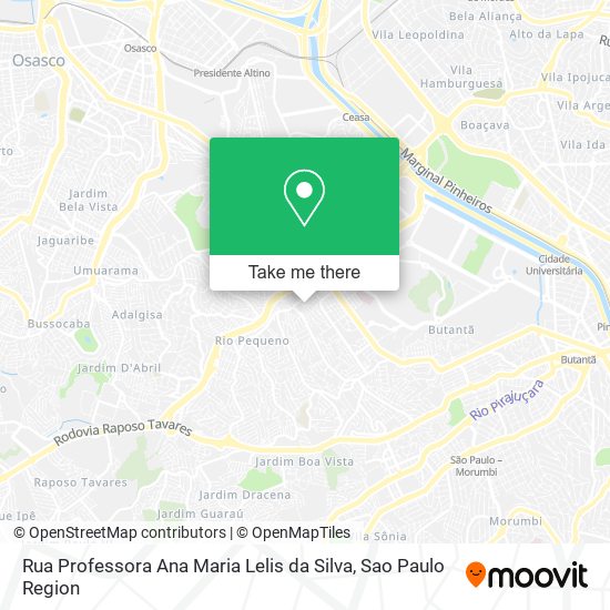 Mapa Rua Professora Ana Maria Lelis da Silva