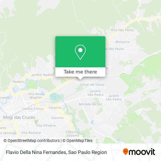 Flavio Della Nina Fernandes map
