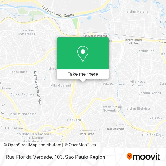 Rua Flor da Verdade, 103 map