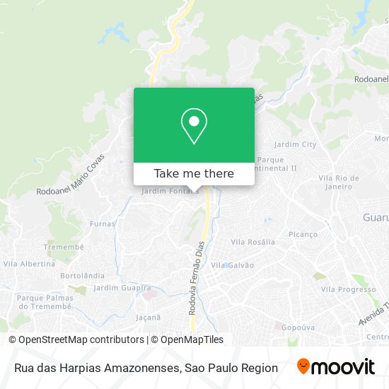 Rua das Harpias Amazonenses map