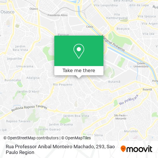 Rua Professor Anibal Monteiro Machado, 293 map