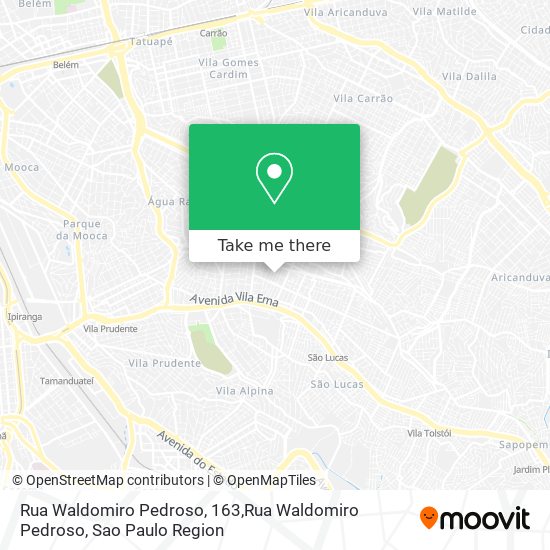 Rua Waldomiro Pedroso, 163,Rua Waldomiro Pedroso map