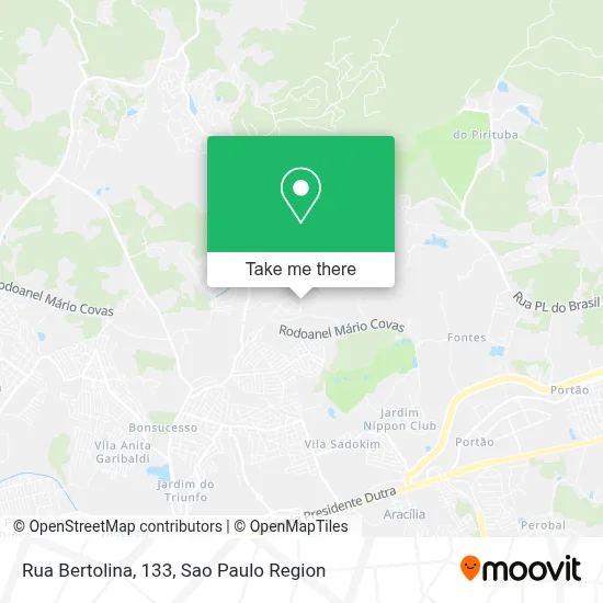 Rua Bertolina, 133 map