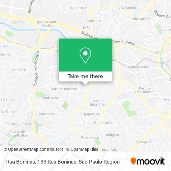 Mapa Rua Boninas, 133,Rua Boninas