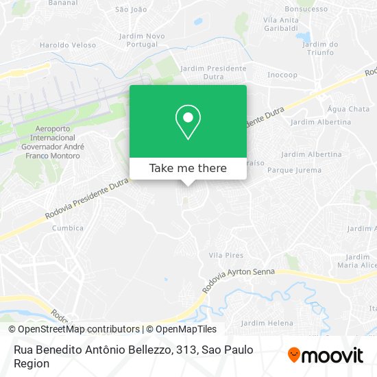 Mapa Rua Benedito Antônio Bellezzo, 313