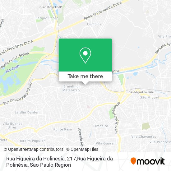 Rua Figueira da Polinésia, 217,Rua Figueira da Polinésia map