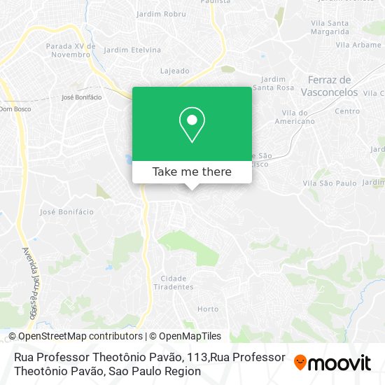 Mapa Rua Professor Theotônio Pavão, 113,Rua Professor Theotônio Pavão