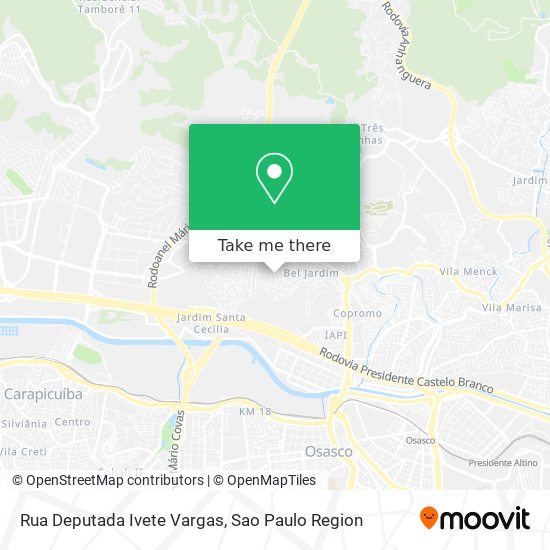 Rua Deputada Ivete Vargas map