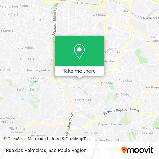 Rua das Palmeiras map