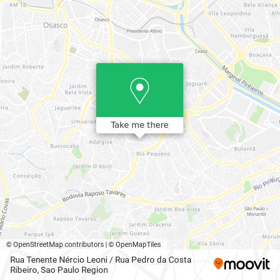 Rua Tenente Nércio Leoni / Rua Pedro da Costa Ribeiro map