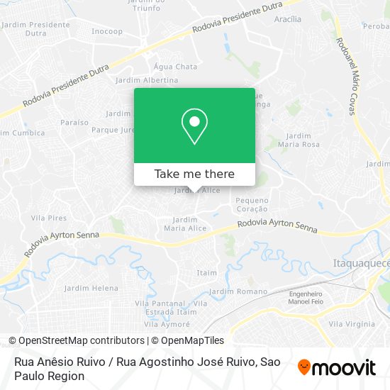 Rua Anêsio Ruivo / Rua Agostinho José Ruivo map