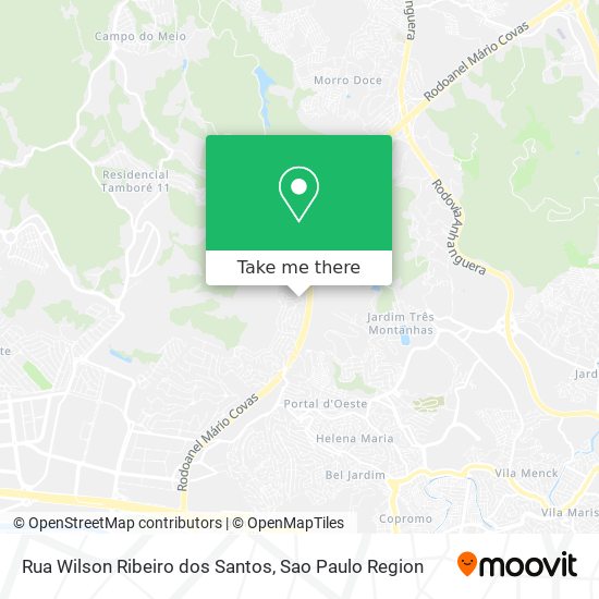 Rua Wilson Ribeiro dos Santos map