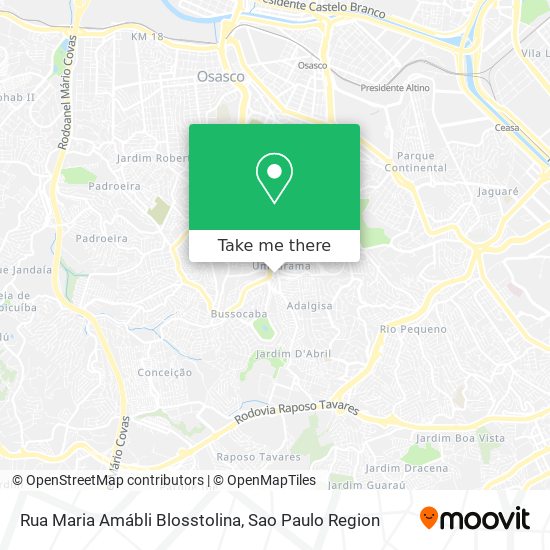 Rua Maria Amábli Blosstolina map