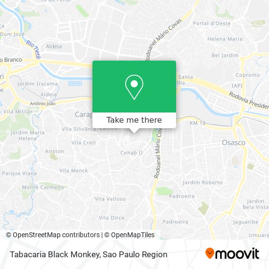 Tabacaria Black Monkey map