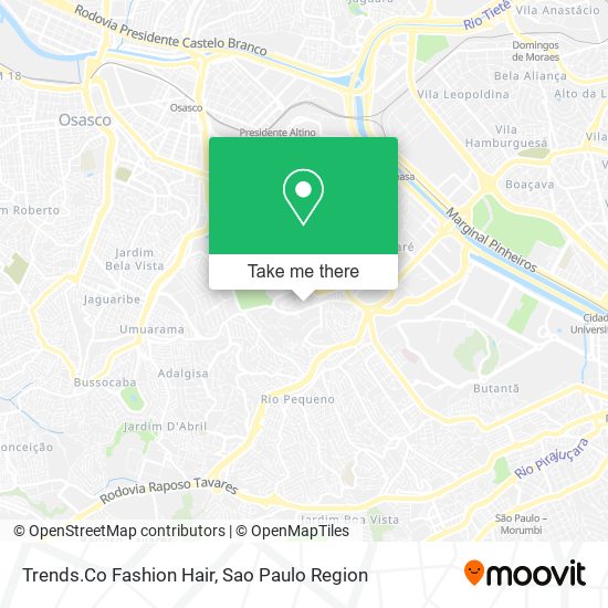 Trends.Co Fashion Hair map