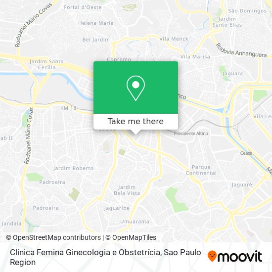 Clinica Femina Ginecologia e Obstetrícia map