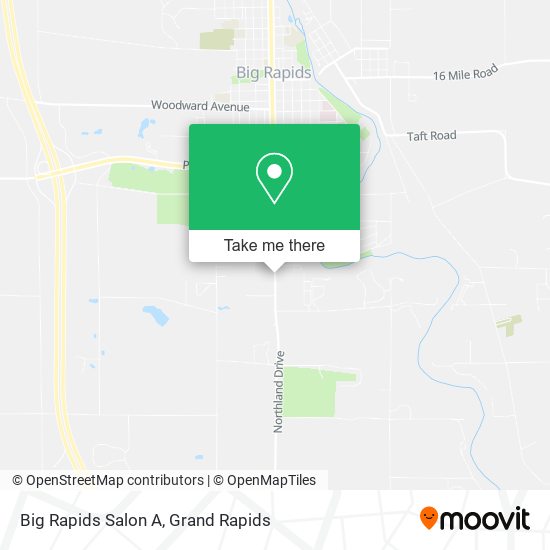 Mapa de Big Rapids Salon A