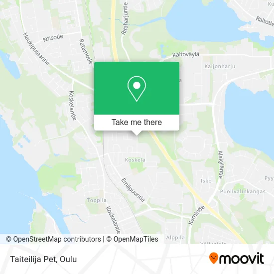Taiteilija Pet map