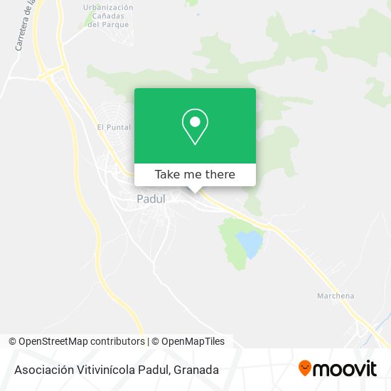 Asociación Vitivinícola Padul map